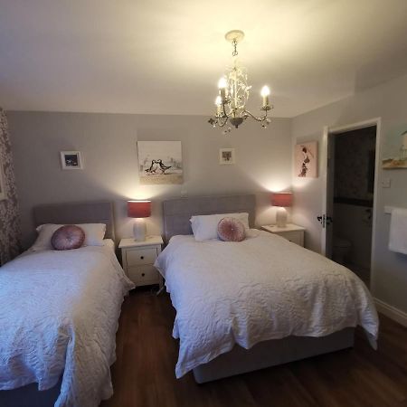 Meadow View B&B Ballymena Exteriör bild