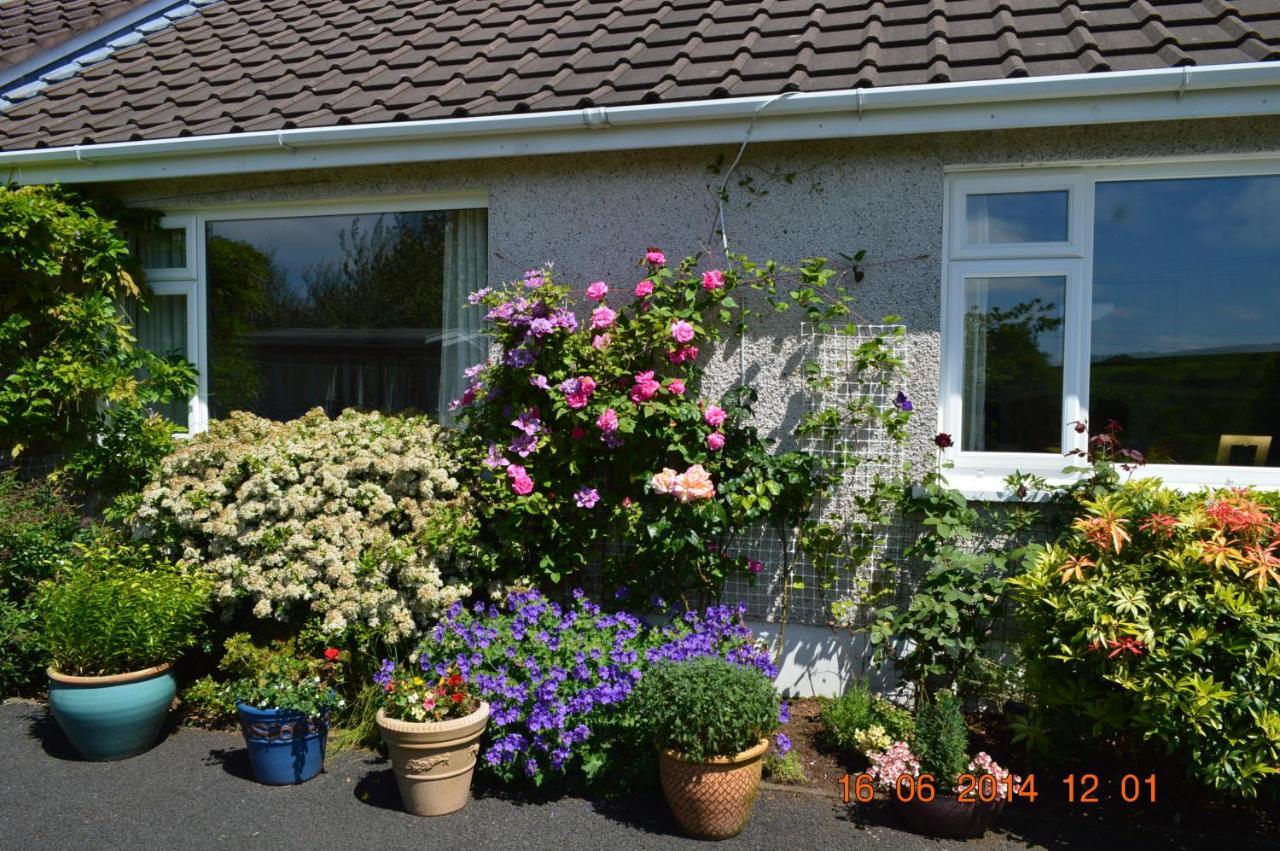Meadow View B&B Ballymena Exteriör bild
