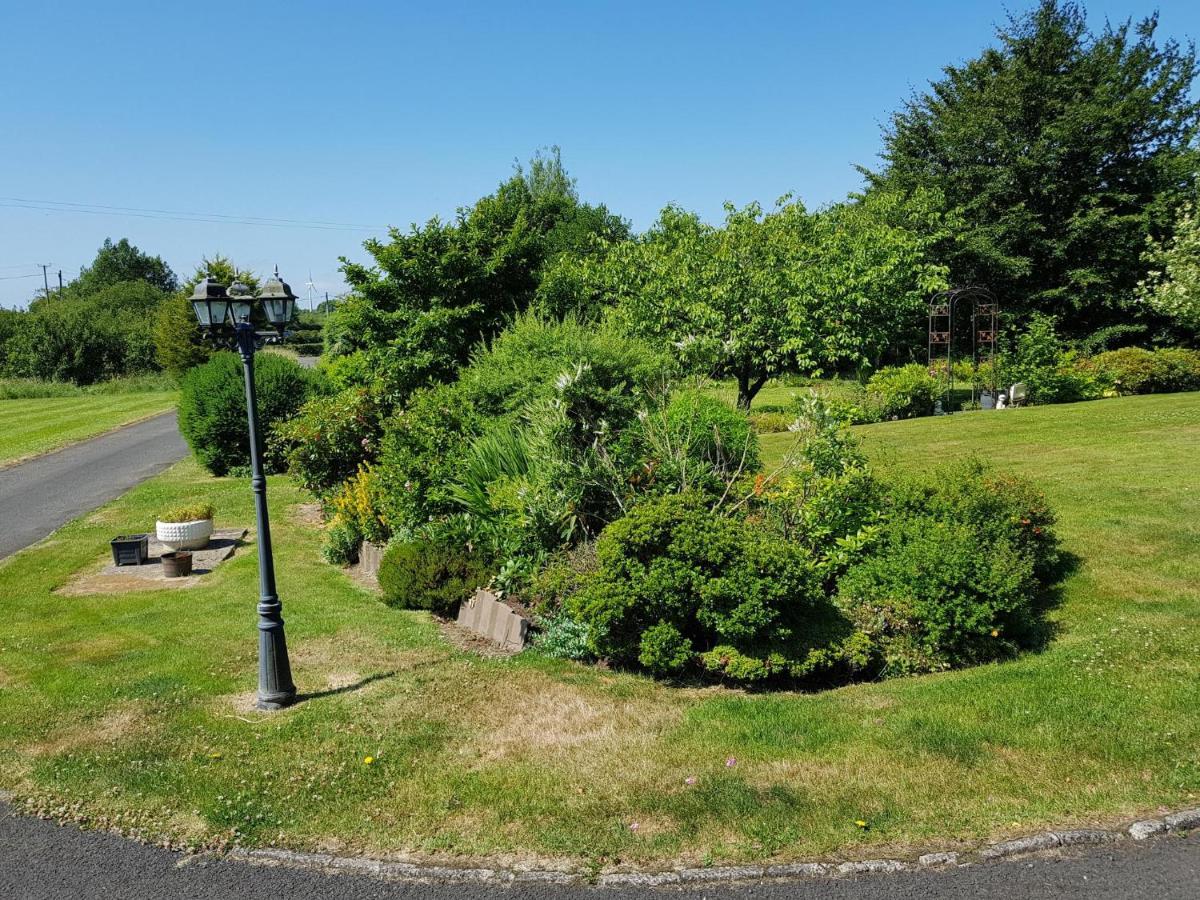 Meadow View B&B Ballymena Exteriör bild