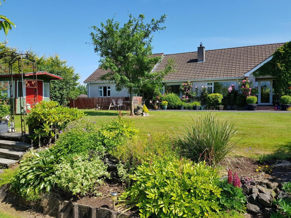 Meadow View B&B Ballymena Exteriör bild