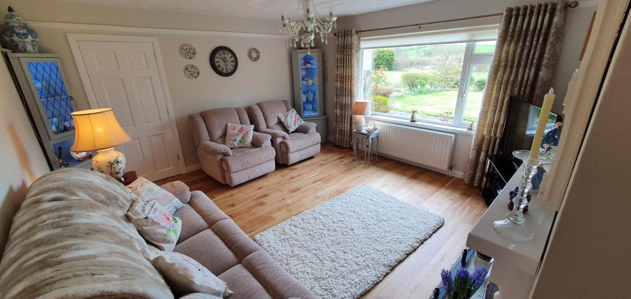 Meadow View B&B Ballymena Exteriör bild