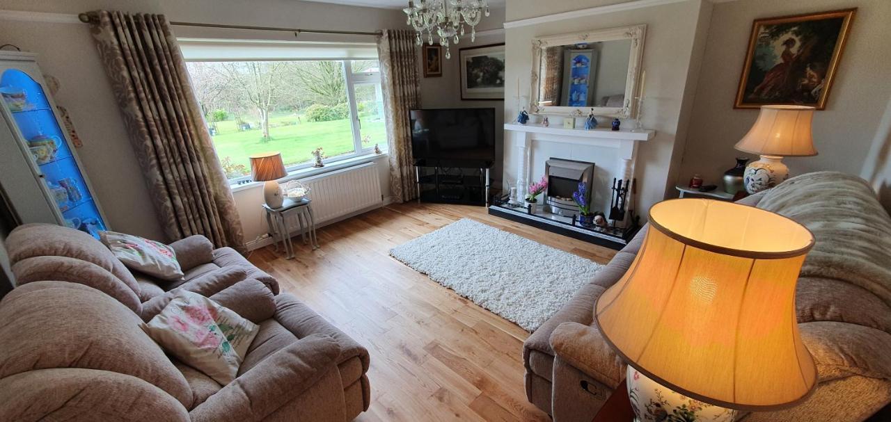 Meadow View B&B Ballymena Exteriör bild